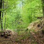 Maison d'hôtes Teremok Vyshka