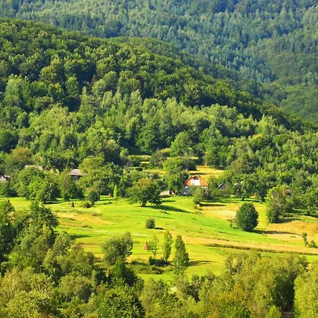 Teremok * Vyška
