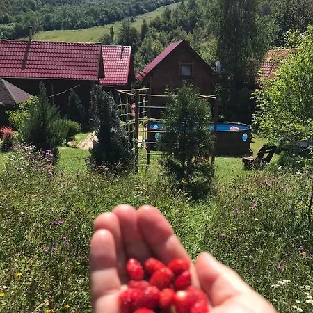 Teremok Maison d'hôtes 4*
