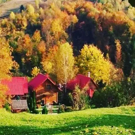 Maison d'hôtes Teremok Vyshka