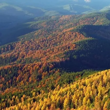 Teremok Vyška