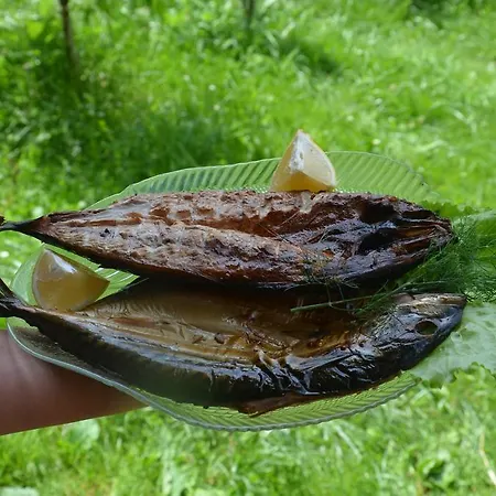 Maison d'hôtes Teremok Vyshka