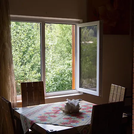 Teremok Guest house
