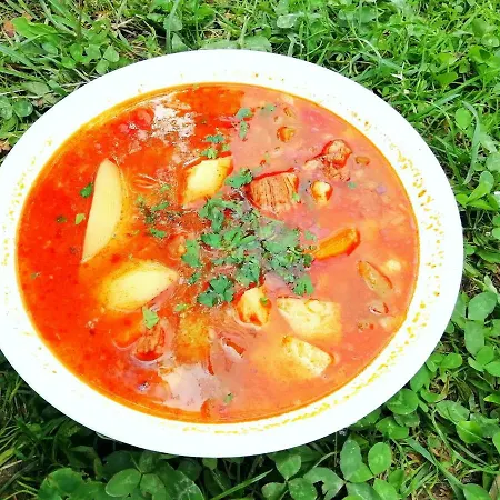Konukevi Teremok *