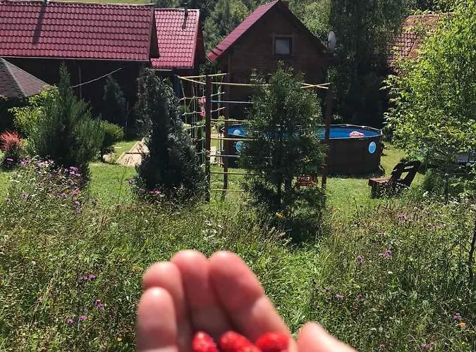 Teremok Penzion 4*