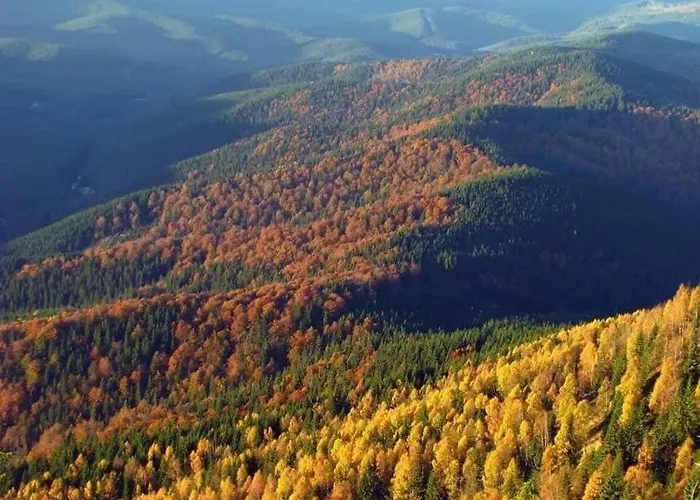 Teremok Vyška