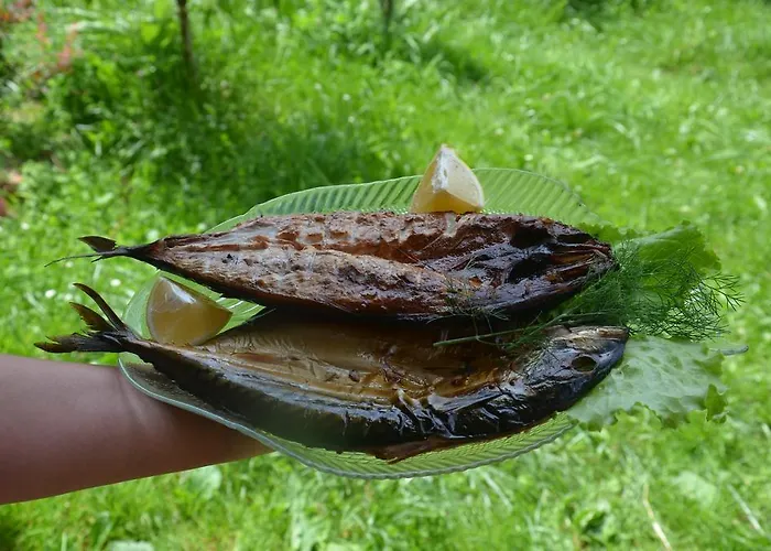 Penzion Teremok Vyška