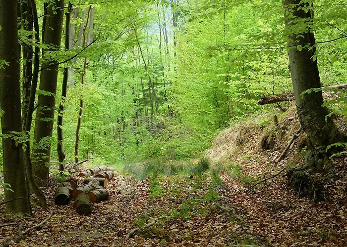 Penzion Teremok Vyška